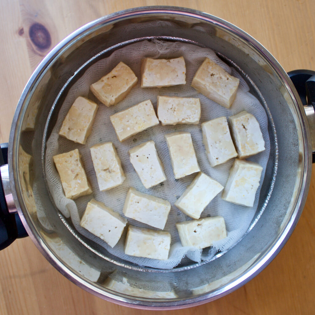 Fermentación de tofu día 4